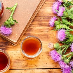 Milk Thistle